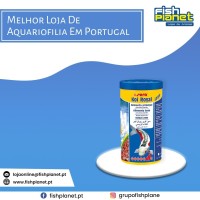 Melhor Loja De Aquariofilia Em Portugal